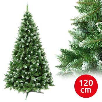  120 cm kép