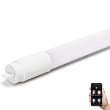  B.V. LED Fénycső T8/18W/230V 6500K 120 cm  kép