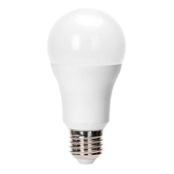  B.V. LED Izzó A60 E27/24W/230V 4000K  kép