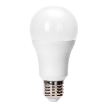  B.V. LED Izzó A60 E27/24W/230V 6500K  kép
