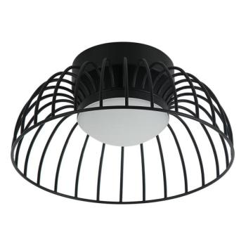  BETSY LED mennyezeti lámpa, 12W/230V, Ø 25 cm, fekete  kép