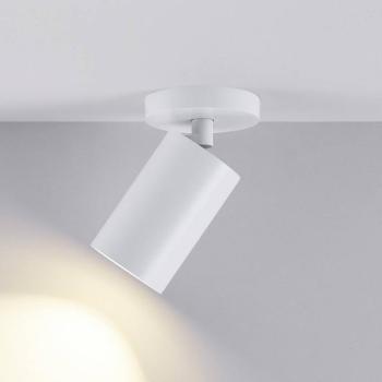 CAN TILT mennyezeti spotlámpa, fehér, Ø 8 cm, 1 izzó, fém, GU10 kép