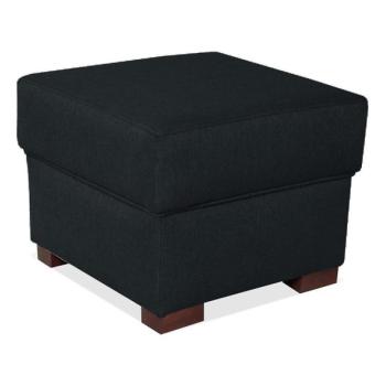 EMS Puff VIVA 51x51 cm fekete  kép