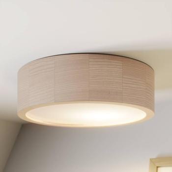 Envostar Kerio mennyezeti lámpa, Ø 27 cm, fehér kép