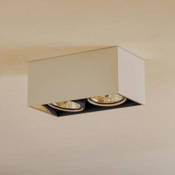 FLOS Compass Box H135 - lámpa 2 égős fehér kép