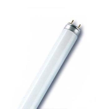 G13 T8 36W Fluora növényi fluoreszkáló cső kép