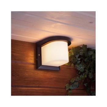  Kültéri fali lámpa PETUNIA 1xE27/60W/230V IP44 antracit  kép