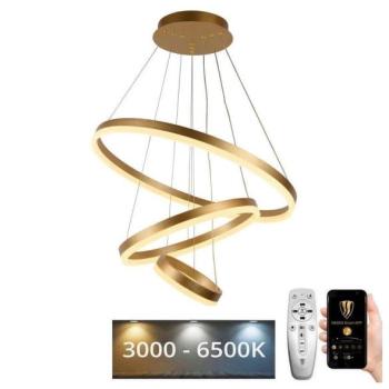  LED állítható fényerejű csillár kábellel LED/85W/230V 3000 kép