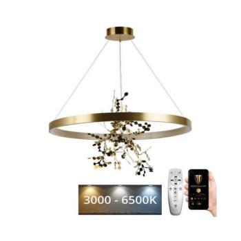  LED állítható fényerőjű lámpa kábelre LED/55W/230V 3000 kép