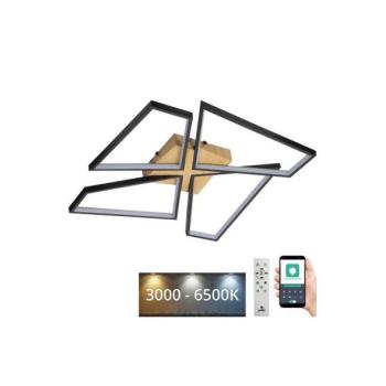  LED állítható mennyezeti lámpa LED/115W/230V 3000 kép