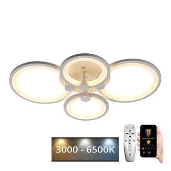  LED állítható mennyezeti lámpa LED/65W/230V 3000 kép