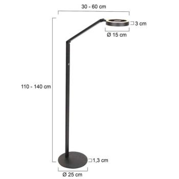 LED álló világítás Ringlux, fekete, fém, állítható kép