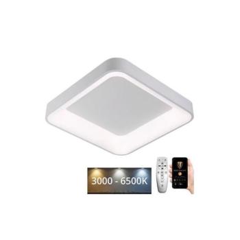  LED Dimmelhető mennyezeti lámpa LED/45W/230V 3000 kép