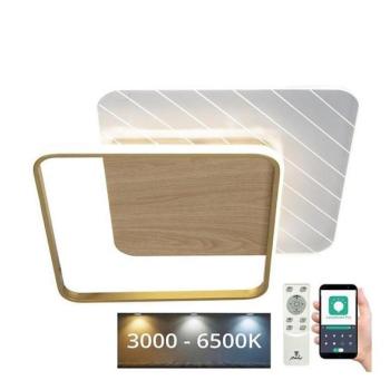  LED Dimmelhető mennyezeti lámpa LED/60W/230V 3000 kép
