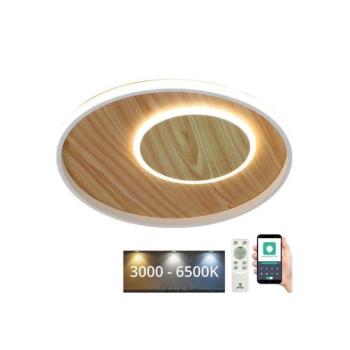  LED dimmelhető mennyezeti lámpa LED/65W/230V 3000 kép
