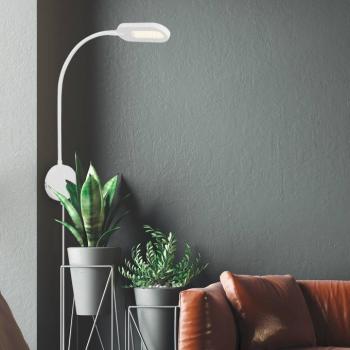LED fali világítás 2177016 szabályozóval, fehér kép