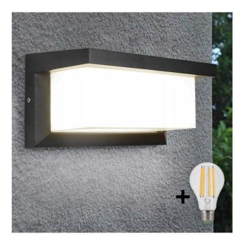  LED Kültéri fali lámpa NEELY 1xE27/9W/230V 3000K IP54 antracit  kép