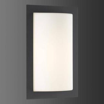LED kültéri falilámpa Luis, grafit színű, üveg, rozsdamentes acél kép