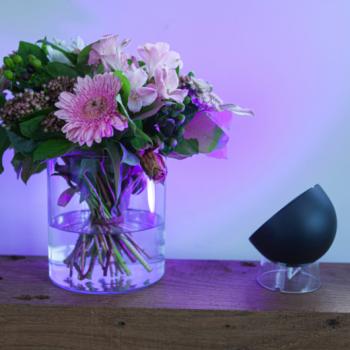 LED lámpatest , hordozható , asztali , 9.5W , RGB , CCT , dimmelhető , fekete , LUTEC CONNECT , GLOBE kép