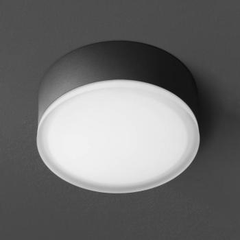 LED mennyezeti lámpa 1421 kültérre, grafit Ø 20.5cm kép