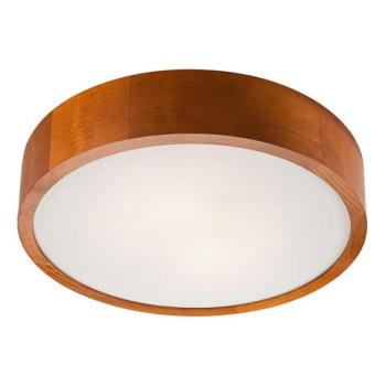  LED mennyezeti lámpa 1xLED/24W/230V  kép