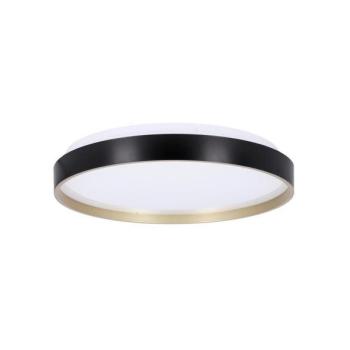  LED Mennyezeti lámpa FLORIDA LED/18W/230V fekete  kép