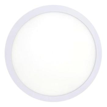  LED Mennyezeti lámpa LED/18W/230V 4200K átm. 21 cm fehér  kép
