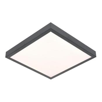  LED Mennyezeti lámpa VITALI LED/24W/230V  kép