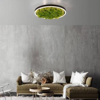 LED mennyezeti lámpa Zöld Ritus, moha, dimmelhető Ø39.3cm kép
