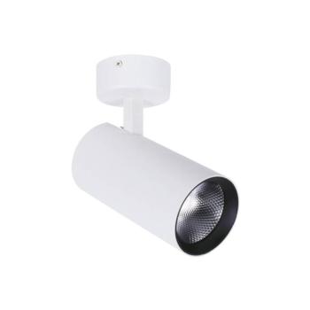 LED mennyezeti spotlámpa Nestor, fehér kép