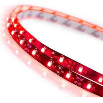 LED szalag , 3528 , 60 led/m , 4.2 W/m , piros kép