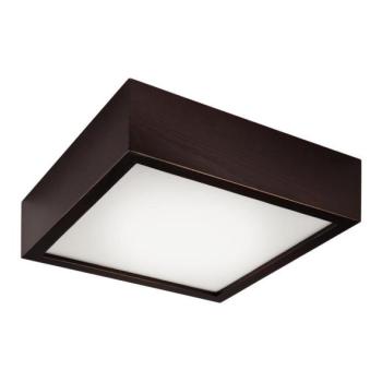  Mennyezeti lámpa 1xE27/60W/230V  kép