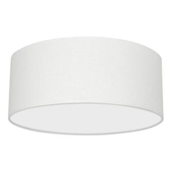  Mennyezeti lámpa ALBION 2xE27/60W/230V  kép