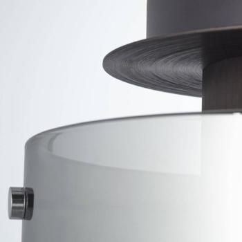 mennyezeti lámpa Beth füstvédővel, egyégős kép