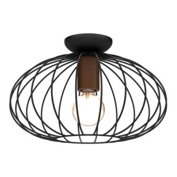  Mennyezeti lámpa MERIDIANO 1xE27/60W/230V  kép