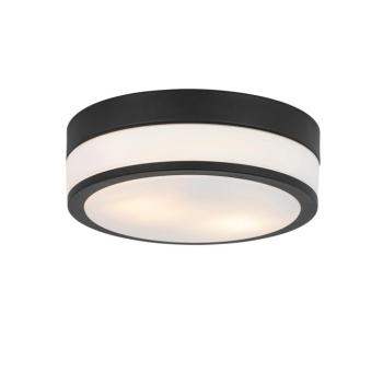 Modern kültéri mennyezeti lámpa fekete 28 cm IP44 - Flavi kép