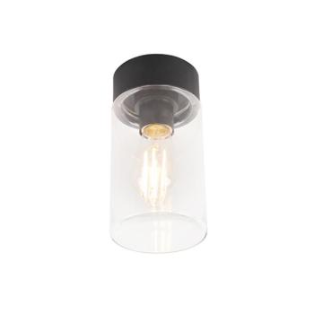 Modern mennyezeti lámpa fekete 22,6 cm IP44 - Jarra kép