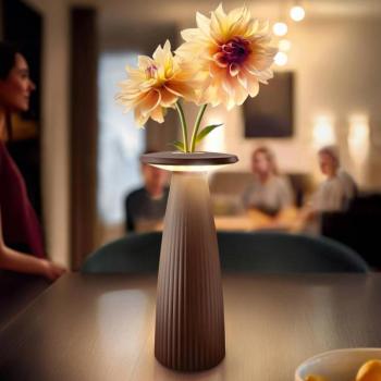 Nuflair LED-es újratölthető asztali lámpa, rozsdabarna, IP54, fényerőszabályzó, kép