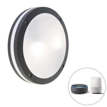 Okos fali és mennyezeti lámpa sötétszürke, WiFi-vel A60 - Glow kép