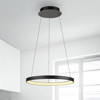 Paul Neuhaus LED-es függőlámpa Hoop, fekete, Ø 57 cm, dimmelhető kép