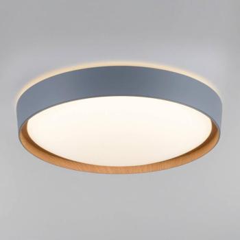 Paul Neuhaus Q-EMILIA LED lámpa, szürke/fa kép