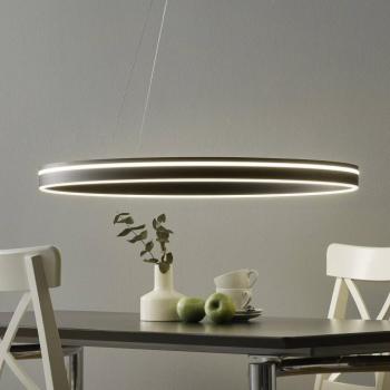 Paul Neuhaus Q-VITO LED függő lámpa 79 cm antracit kép