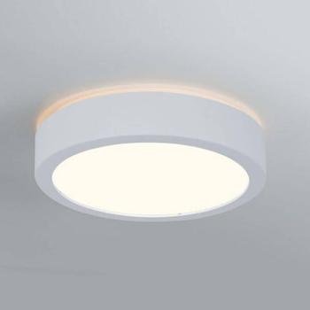 Paulmann Aviar LED lámpa Ø22cm feh. 3000K kép