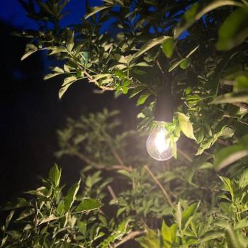 PR Home újratölthető LED kültéri lámpa 2406003, fekete, fényerőszabályzóval kép
