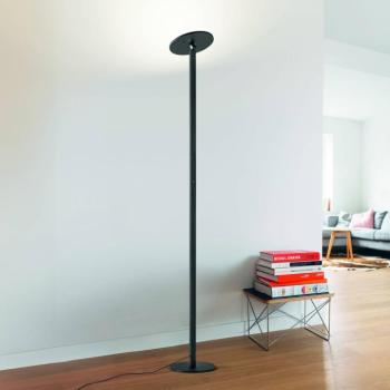 Regina LED állólámpa, fekete, CCT, fényerőszabályzó, magasság 180 cm kép