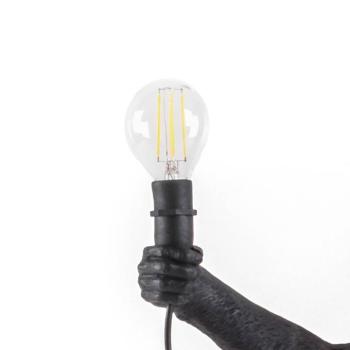SELETTI LED izzó Monkey lámpa kültéri E14 2 W 24V/36V kép