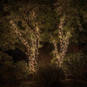 Twinkly RGBW fénylánc, 250-fl. 20m átlátszó kép