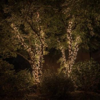 Twinkly RGBW fénylánc, 250-fl. 20m fekete kép