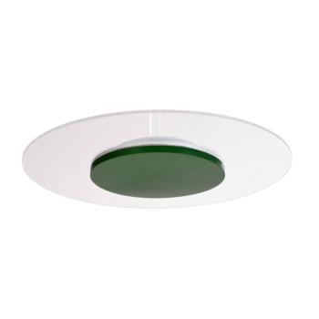 Zaniah LED mennyezeti lámpa, 360° fény, 24W, zöld kép