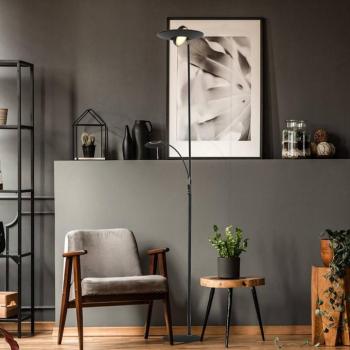 Zenith LED állólámpa, olvasólámpa, CCT, fém, fekete kép